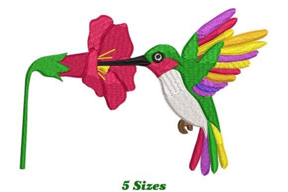 Beautiful Hummingbird: A Designer's Business Review